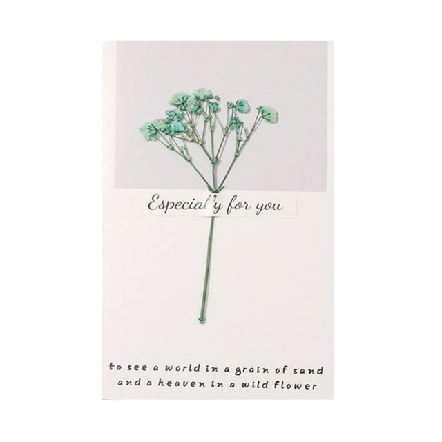 Thanksgiving Postcards Lot How to Send A Thank You Note Birthday Cards