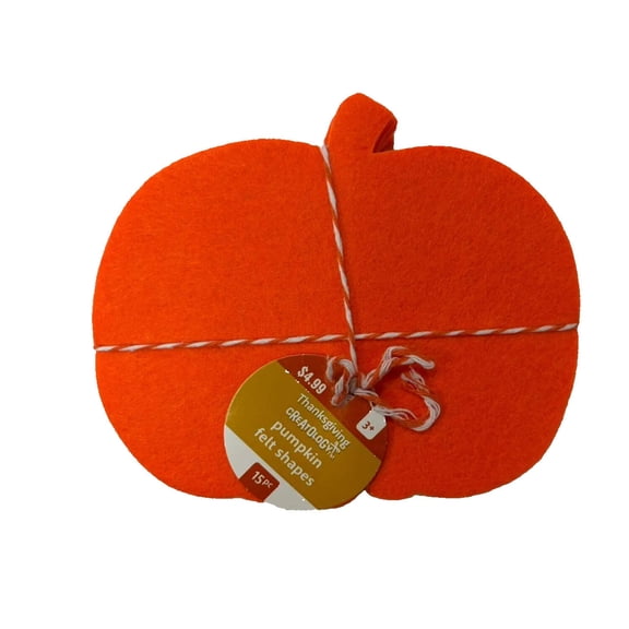 Thanksgiving Pumpkin Felt Shapes Craft Set 15 Pieces (5" x 6")