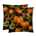 thumbnail image 1 of Thanksgiving Pumpkin Leaves Covers Set of 2 with Unique Patterns for Bed, Chair Pillow Covers, Decorative Pillows - Available in 16x16, 18x18, 20x20 Inchesfor Various Occasions, 1 of 6