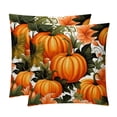 thumbnail image 1 of Thanksgiving Pumpkin Leaves Velvet Throw Pillow Covers with Unique Patterns - Set of 2, 16x16, 18x18, 20x20 Inches or Living Room, Bedroom, and More!, 1 of 6