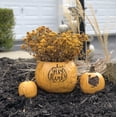 thumbnail image 1 of Thanksgiving Pumpkin Planter Set of 3, 1 of 1