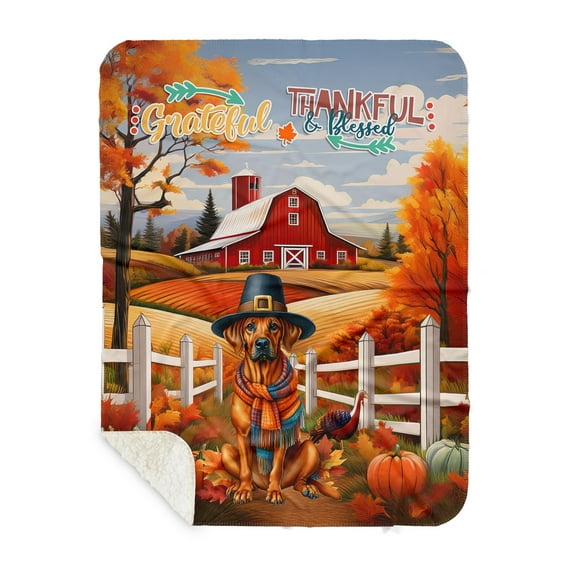Thanksgiving Rhodesian Ridgeback Pilgrim Grateful, Thankful, Blessed Fall Welcome Cozy Sherpa Blanket Ridgebacks Dog Lover Gifts Warm Soft Throw Blanket - 00021