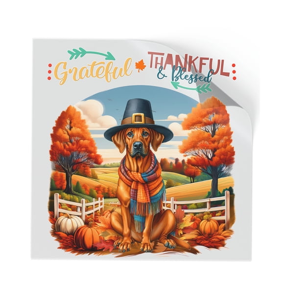 Thanksgiving Rhodesian Ridgeback Pilgrim Grateful, Thankful, Blessed Fall Welcome Cutout Transfer Sticker Ridgebacks Dog Lover Gifts Transparent Decal Art Decor - 00021