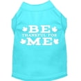 thumbnail image 1 of Thanksgiving Screen Print Pet Shirt, "Be Thankful For Me", 1 of 10