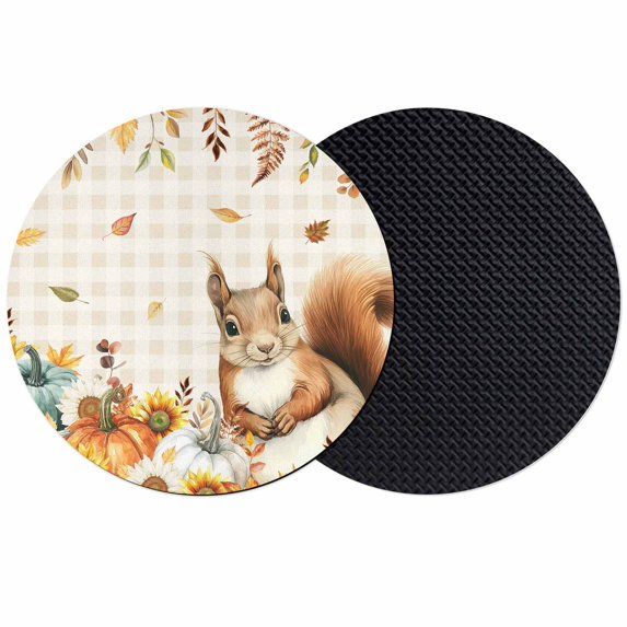 Thanksgiving Squirrel Coasters Set of 2, Absorbent Coasters for Drinks, Fall Pumpkins Sunflower Brown Plaid Coaster for Desk Coffee Table Protection, Home Decor House Warming Gifts 4"