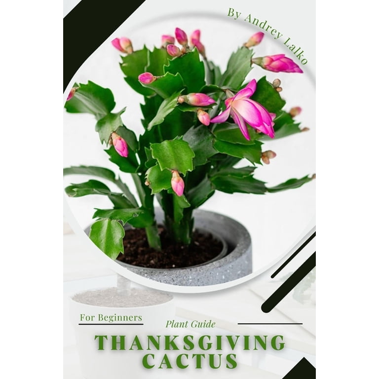 Thanksgiving cactus: Plant Guide (Paperback)