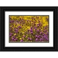 thumbnail image 1 of Tharp, Brenda 32x23 Black Ornate Wood Framed with Double Matting Museum Art Print Titled - California Owls clover and a variety of yellow flowers fill a meadow in Carrizo Plain NM, 1 of 4
