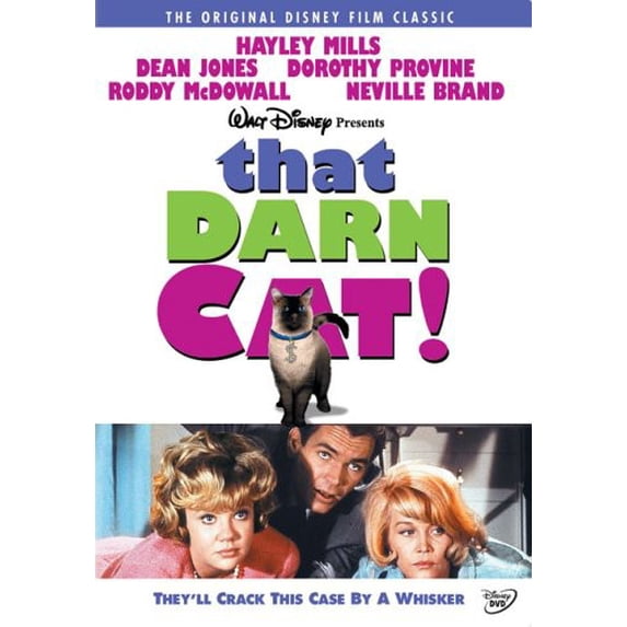 That Darn Cat!