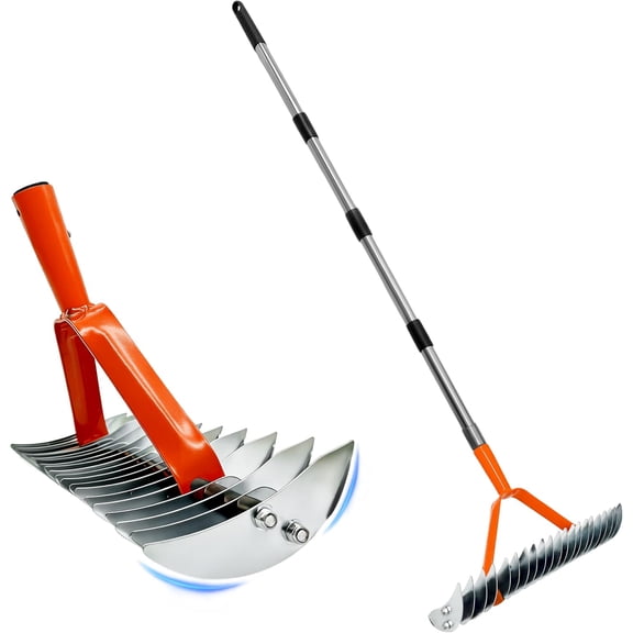 Thatch Rake for Lawn,15" Dethatcher Rake,Heavy-Duty Metal Thatching Rake,68" Adjustable Manual Dethatcher with 19 Tines,Dead Grass Remover Tool for Yards and Gardens