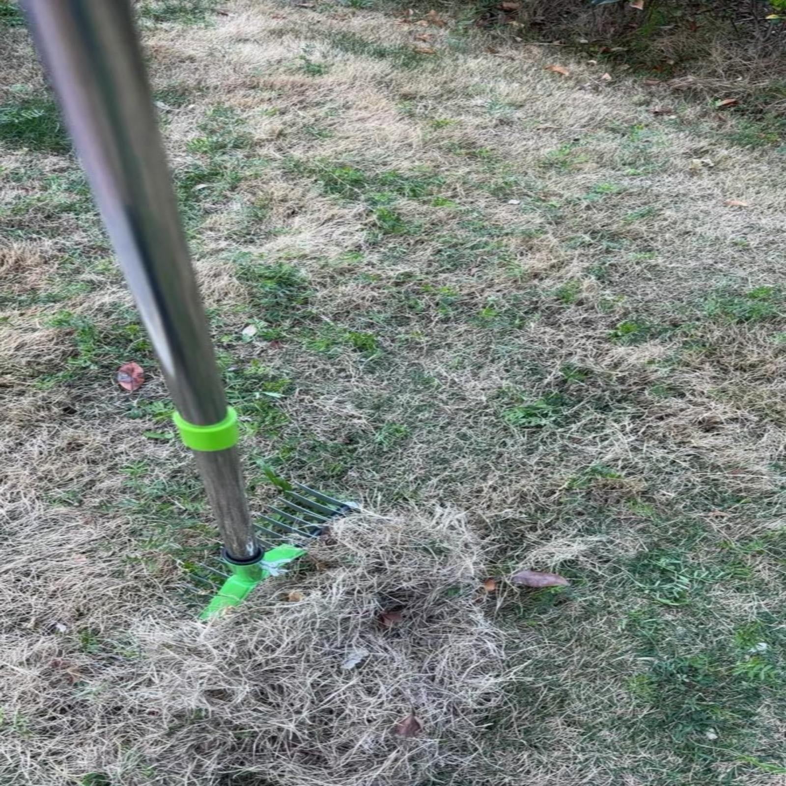 Thatch Rake Stainless Steel Wide Headed Dethatching Rake With Assembly ...