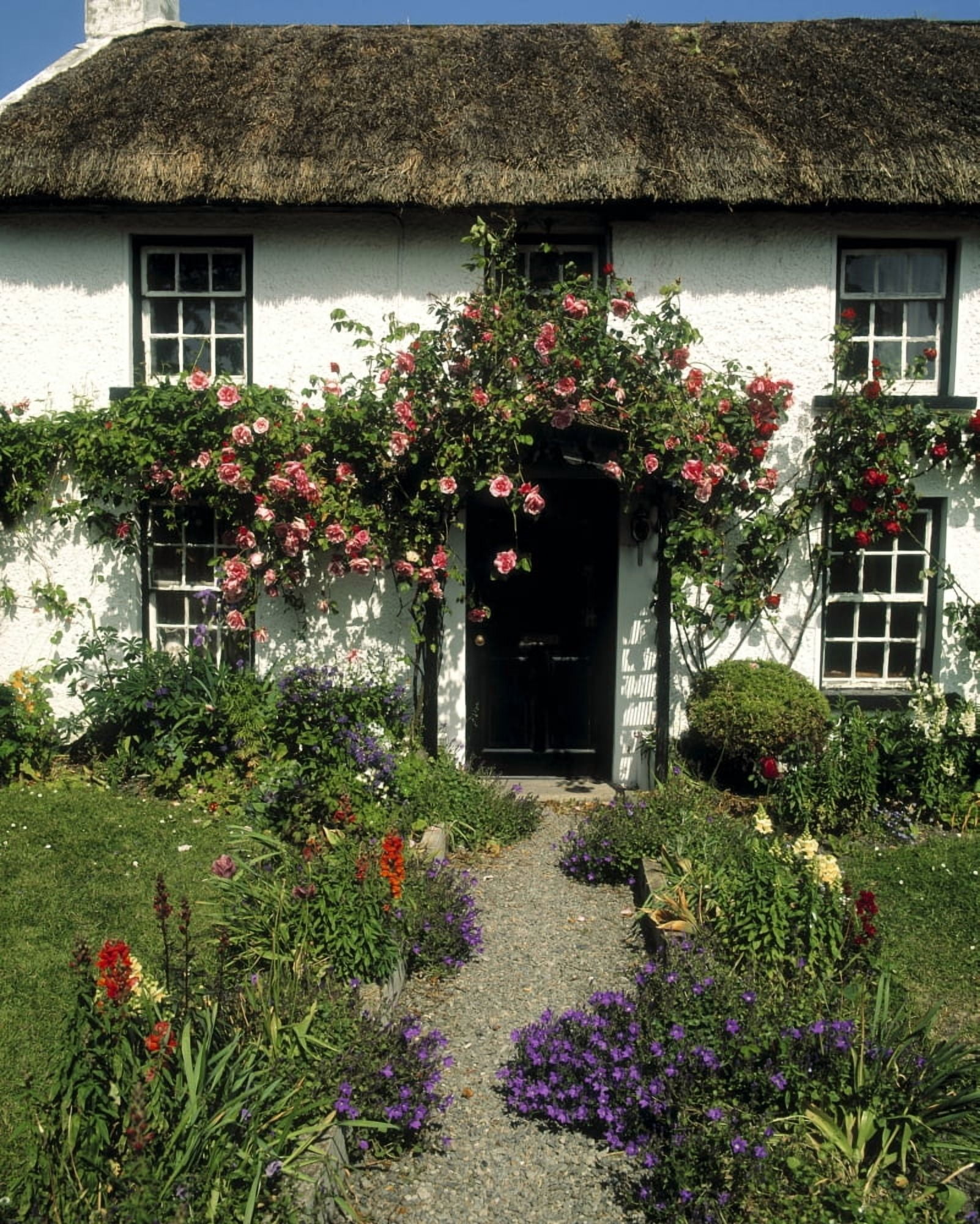 Thatched Cottage Carlingford Co Louth Ireland Canvas Art - The Irish Image Collection Design Pics (12 x 15)