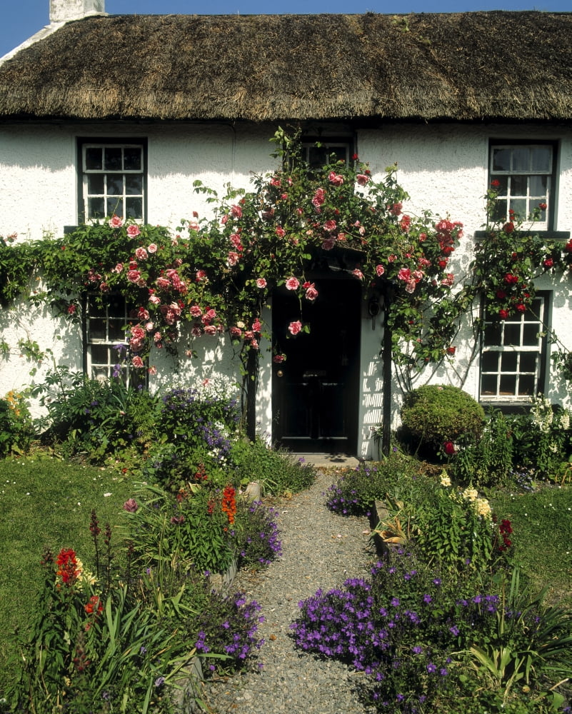 Thatched Cottage Carlingford Co Louth Ireland Canvas Art - The Irish Image Collection Design Pics (24 x 30)