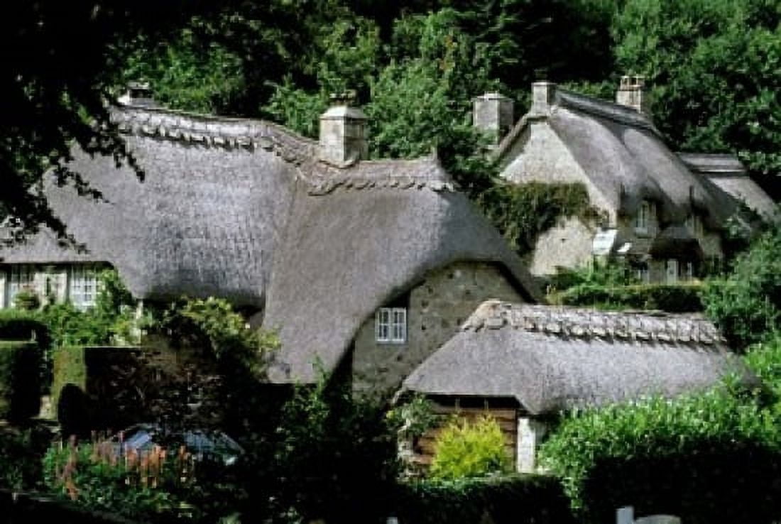 Thatched Cottages Buckland in the Moor Devon England Canvas Art - Nik Wheeler DanitaDelimont (18 x 12)