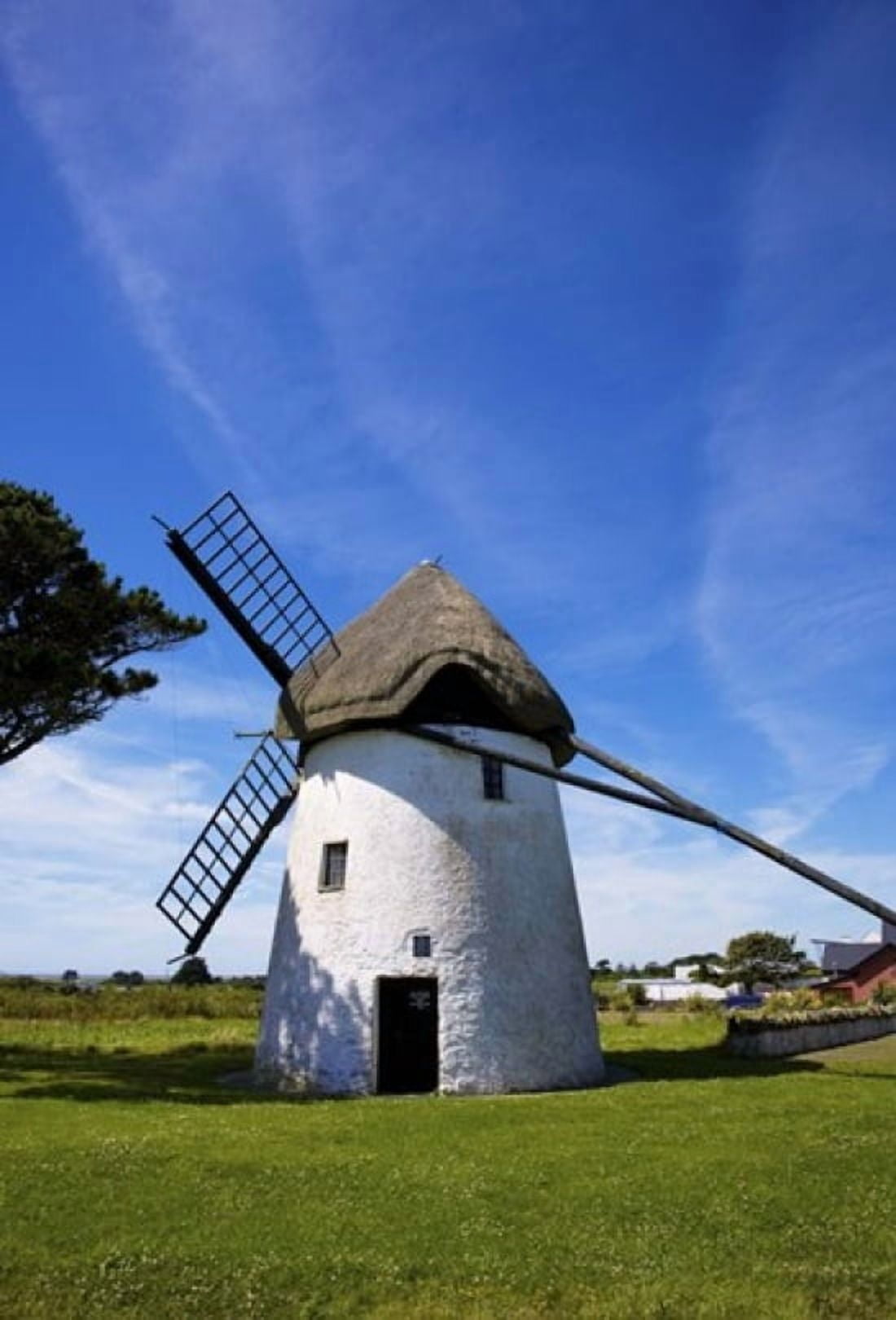 Thatched Windmill Tacumshane County Wexford Ireland Canvas Art - Panoramic Images (17 x 24)