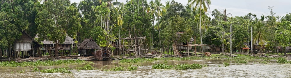 Thatched roof houses on the bank of the Sepik River Papua New Guinea Canvas Art - Panoramic Images (36 x 12)