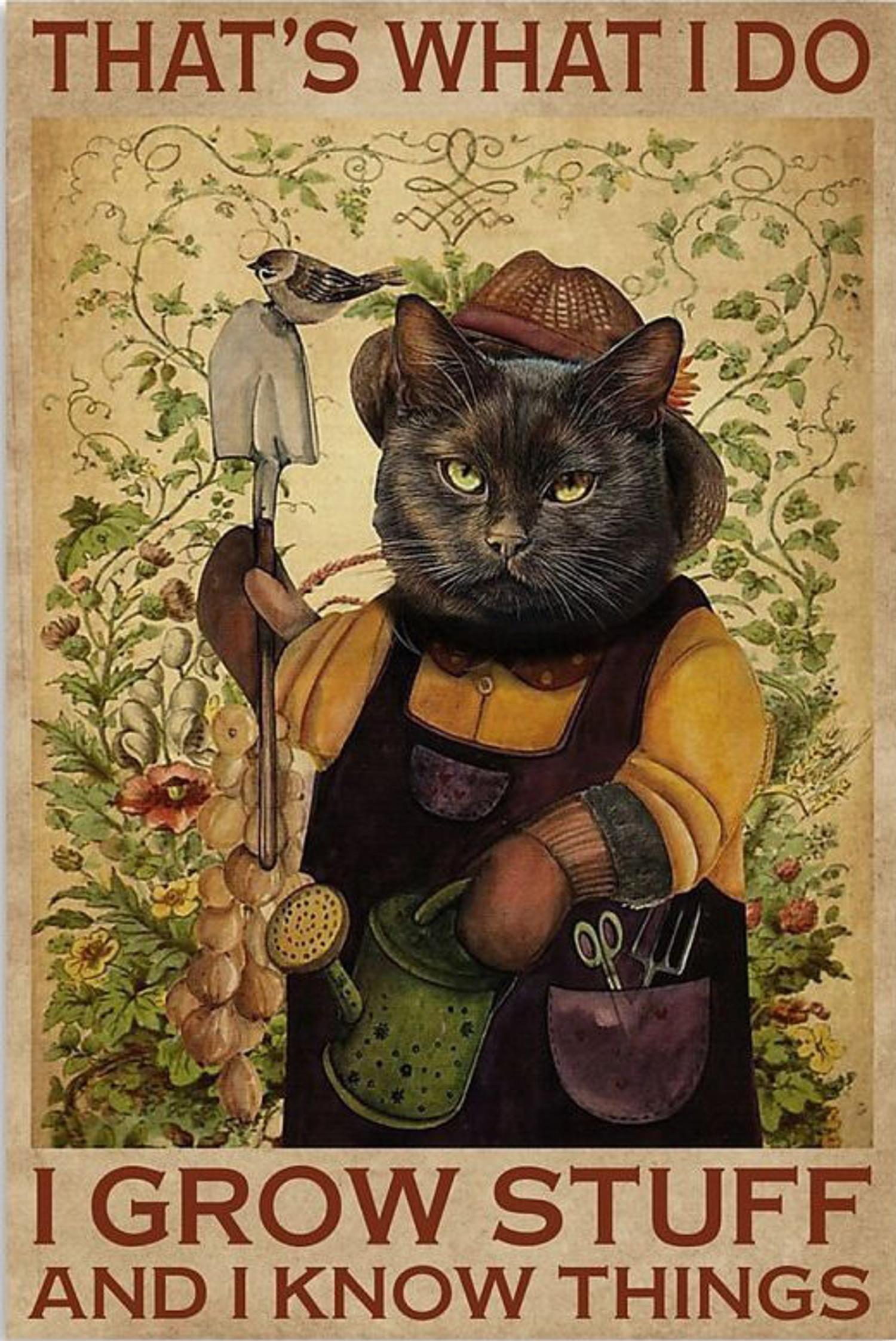 Poster Aperiy Cat - That's What I Do I Read Books I Drink Tea and I Know Things, poster da parete per la casa in metallo, decorazione da parete