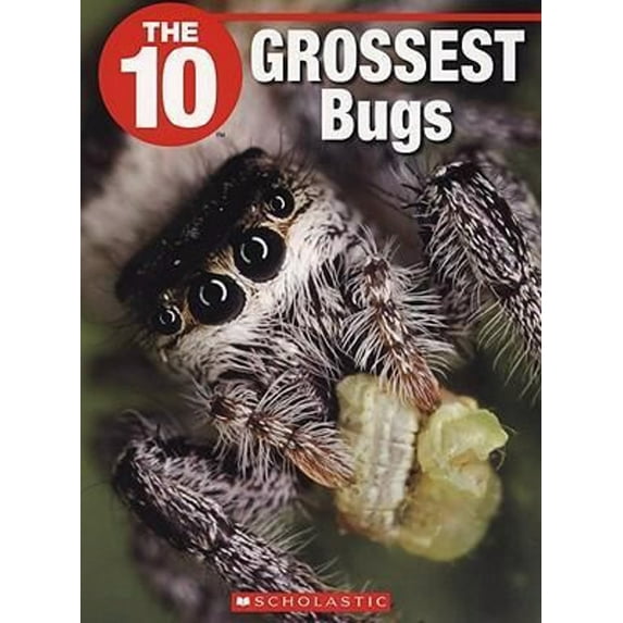 Pre-Owned The 10 Grossest Bugs (Paperback) 1554484626 9781554484621