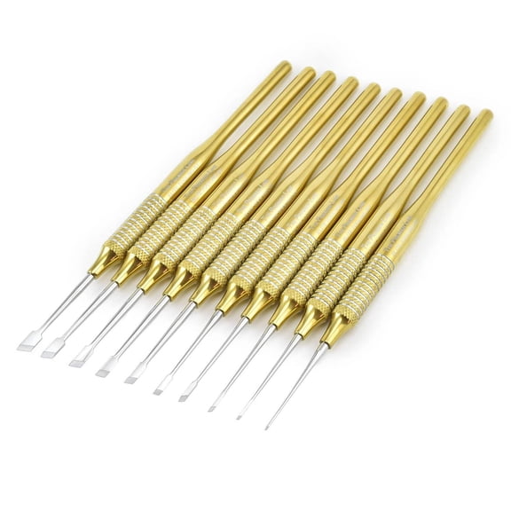 The 10 PC. Skewed Premier Elite Titanium-Plated Chisel Set by Micro-Mark