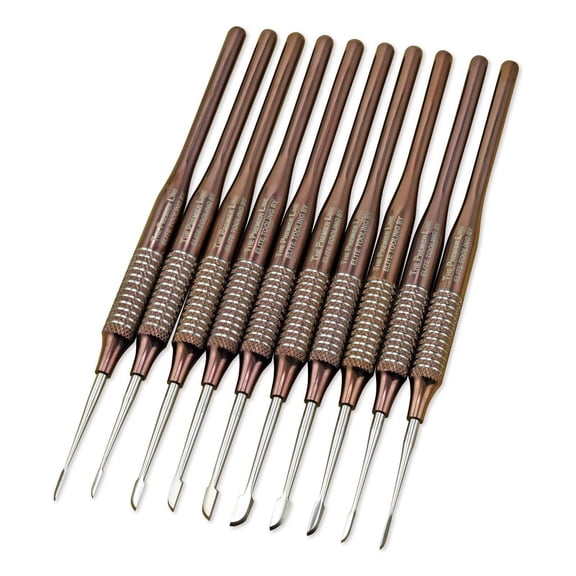 The 10-Piece Left and Right Radius "Premier Elite" Titanium-Plated Chisel Set by Micro-Mark