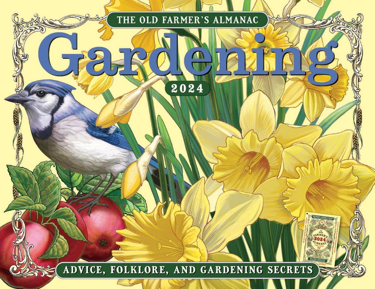Don't Toss Those Peelings! - Farmers' Almanac - Plan Your Day. Grow Your  Life.