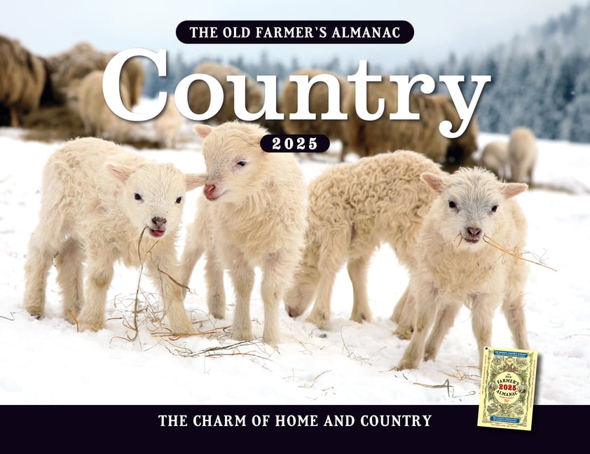 The 2025 Old Farmer's Almanac Country Calendar (Paperback)