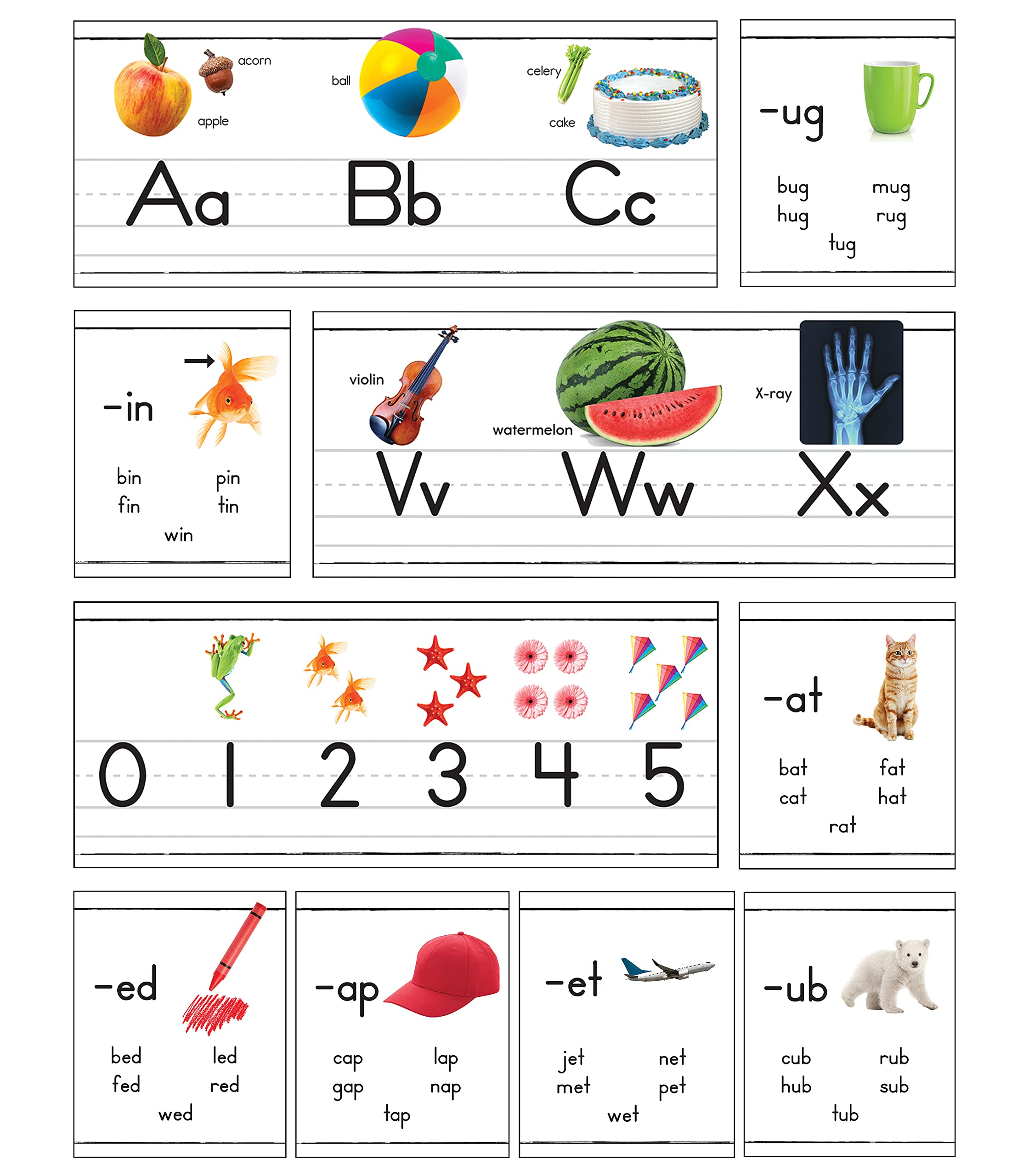 The 31Piece Photographic Alphabet Line & Number Line Bulletin Board