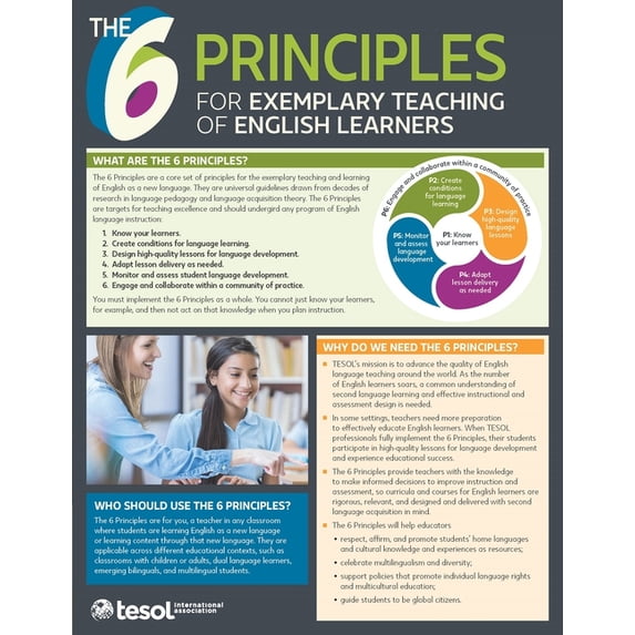 The 6 Principles The 6 Principles Quick Guide (Pack of 5), (Paperback ...