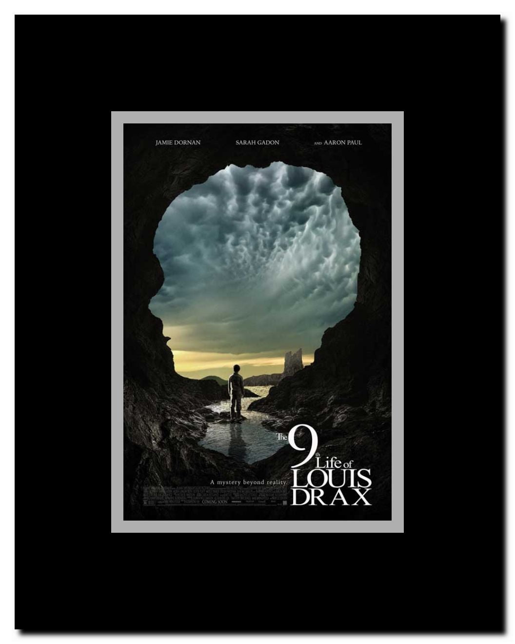 The 9th Life of Louis Drax Framed Movie Poster