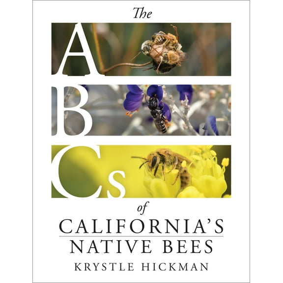 The ABCs of California's Native Bees, (Hardcover)