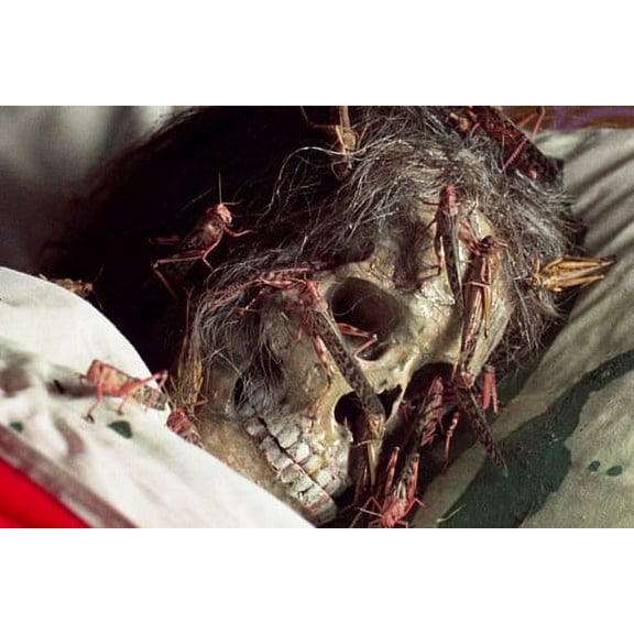 The Abominable Dr. Phibes skeleton skull with insects crawling 24x36 Poster