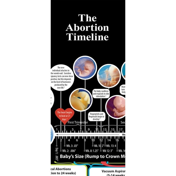 The Abortion Timeline Literature (Pack of 50)
