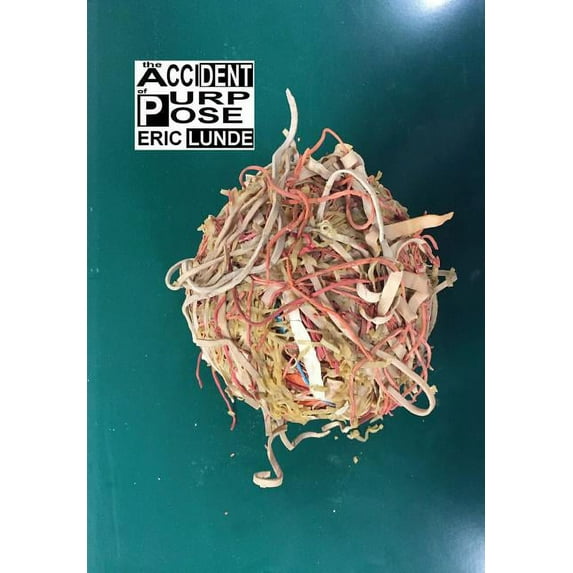 The Accident Of Purpose (hardcover Edition)