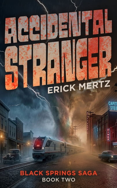 The Accidental Stranger, (Paperback)
