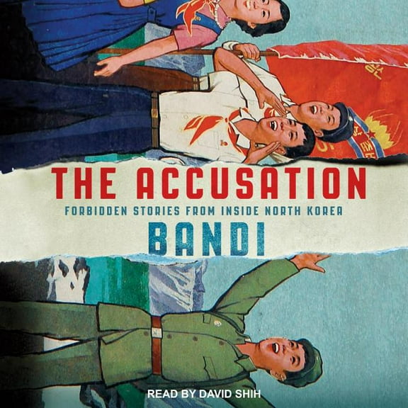 The Accusation (Audiobook)