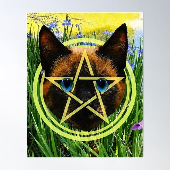 The Ace Of Pentacles Poster Wall Art, Modern Wall Decor For Living Room Bedroom, 8x12 UNFRAMED