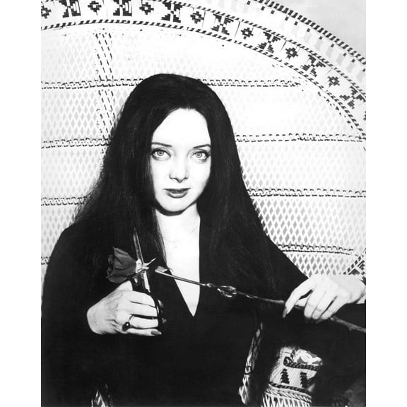 The Addams Family Carolyn Jones In Chair 24x36 Classic Hollywood Poster