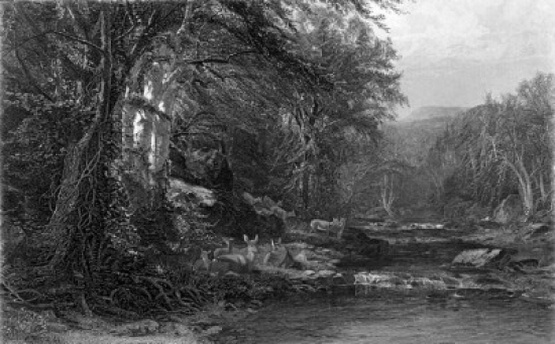 The Adirondack Woods ca1874 James McDougal Hart (1828-1901 American) Etching Canvas Art - James McDougal Hart (18 x 24)