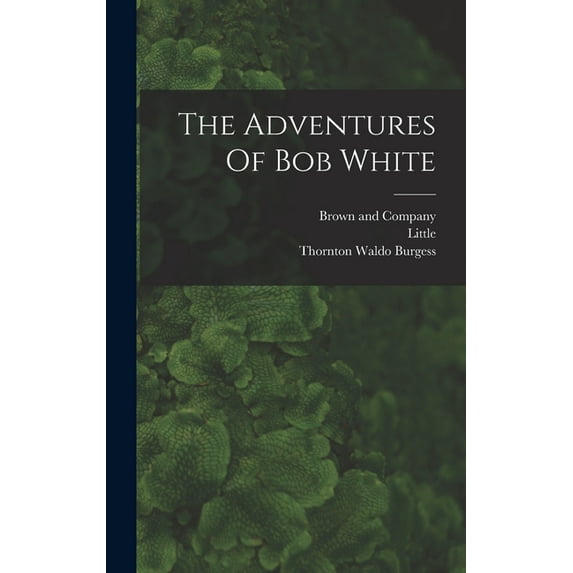 The Adventures Of Bob White (Hardcover)