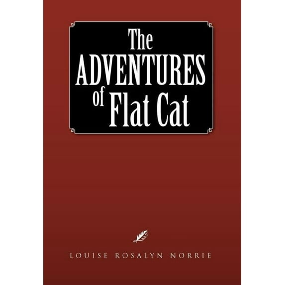 The Adventures Of Flat Cat