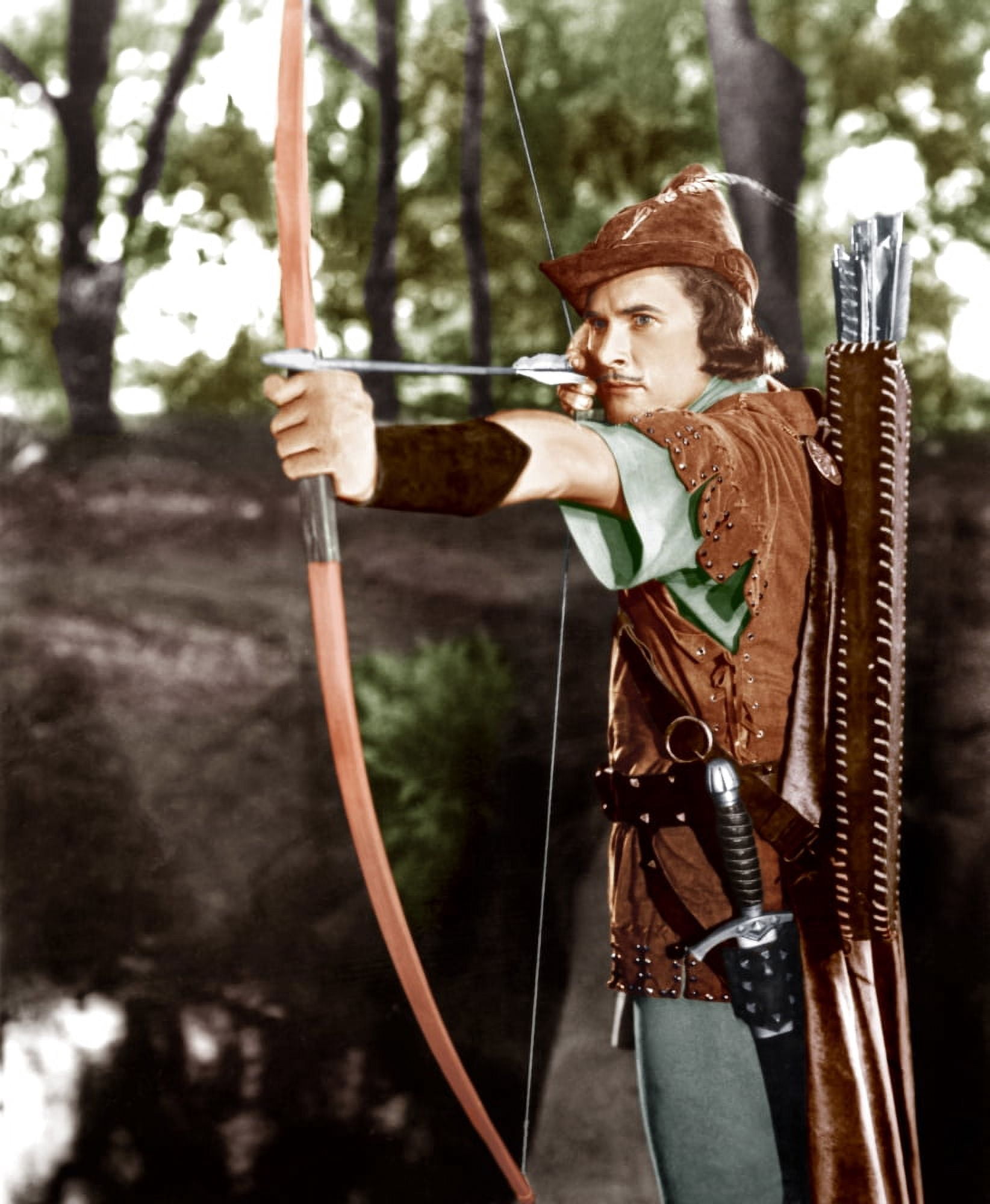 The Adventures Of Robin Hood Canvas Art - (16 x 20)