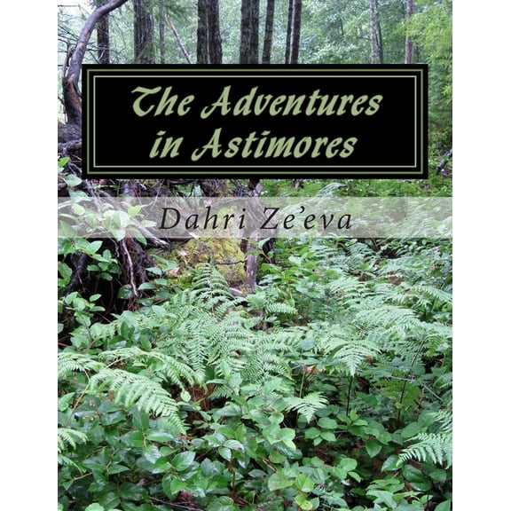 The Adventures in Astimores : The Lost Souls (Paperback)