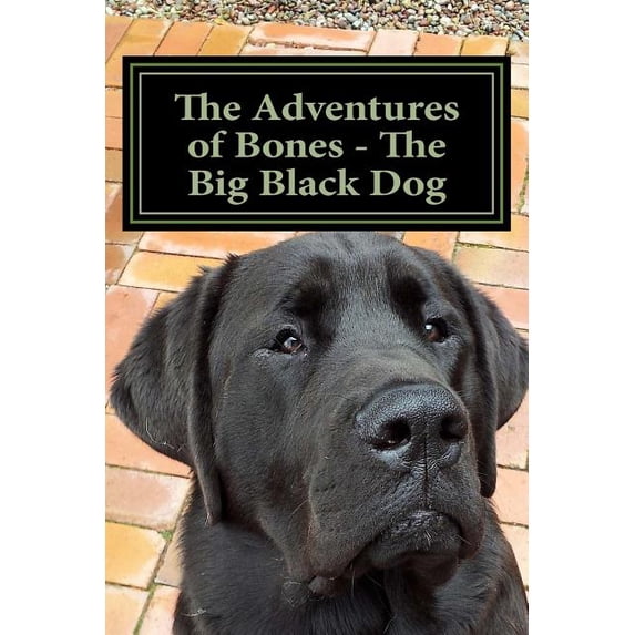 The Adventures of Bones The Adventures of Bones - The Big Black Dog: Bones Needs a Playmate, Book 1, (Paperback)