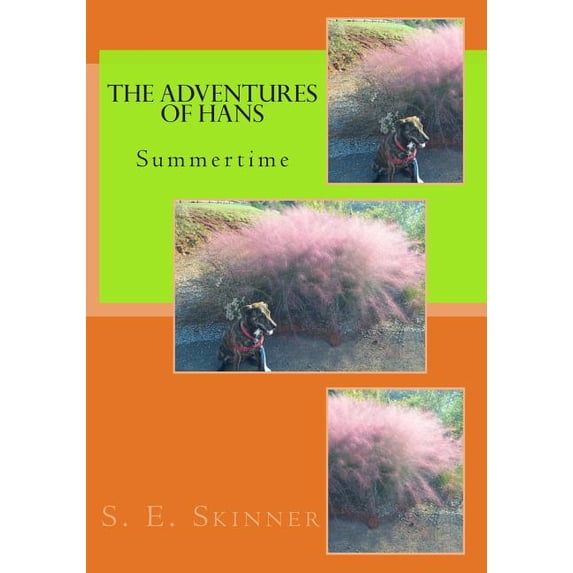The Adventures of Hans: Summertime, (Paperback)