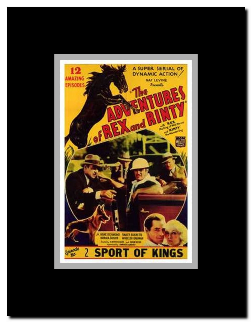 The Adventures of Rex and Rinty Framed Movie Poster