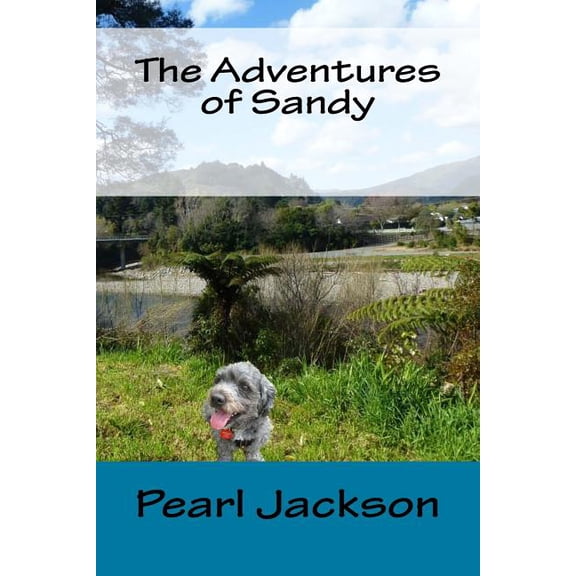 The Adventures of Sandy, (Paperback)