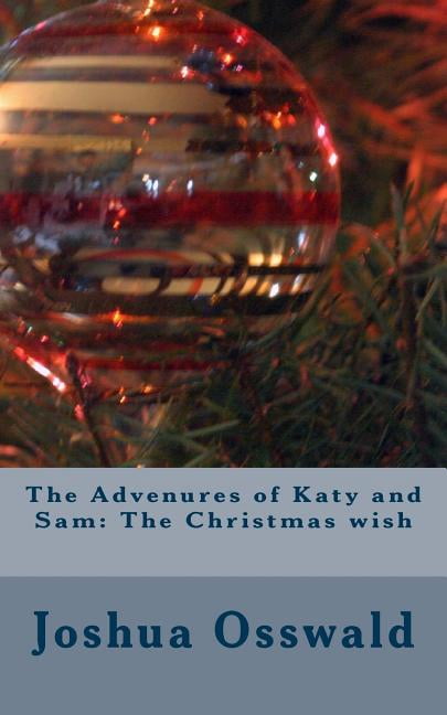 The Advenures of Katy and Sam (Paperback)