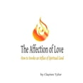 thumbnail image 1 of The Affection of Love: How to Invoke an Influx of Spiritual Good, (Paperback), 1 of 1