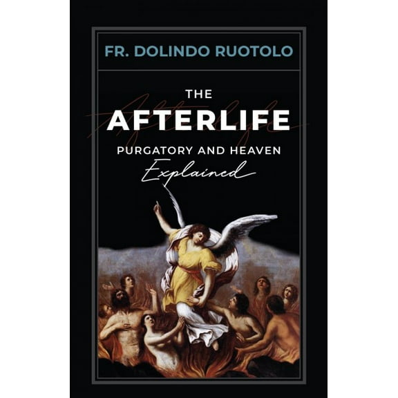 Pre-Owned The Afterlife: Purgatory and Heaven Explained (Paperback) 164413652X 9781644136522