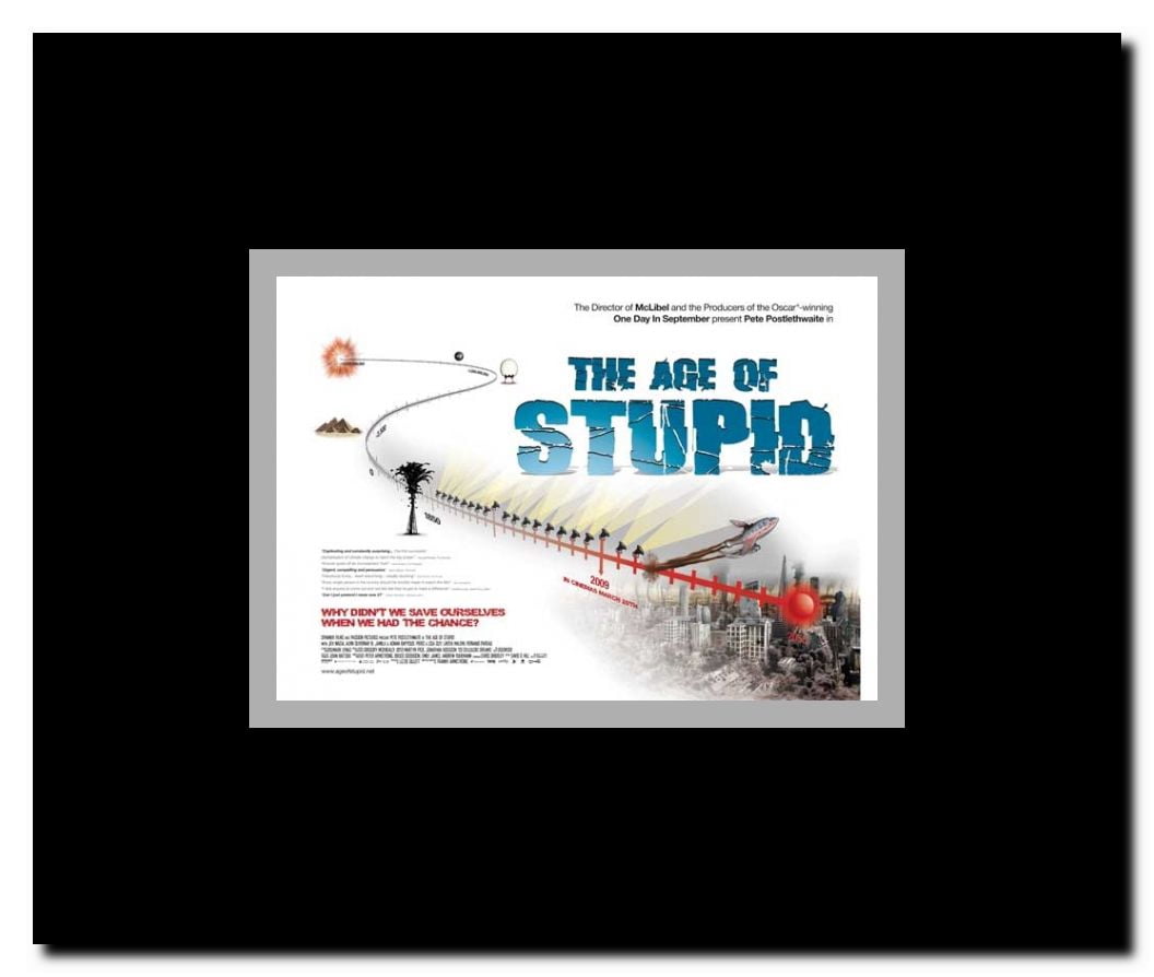 The Age of Stupid Framed Movie Poster