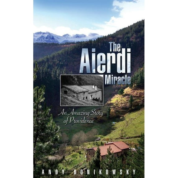 The Aierdi Miracle (Paperback)